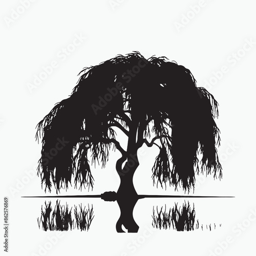 black silhouette of willow tree isolated white background