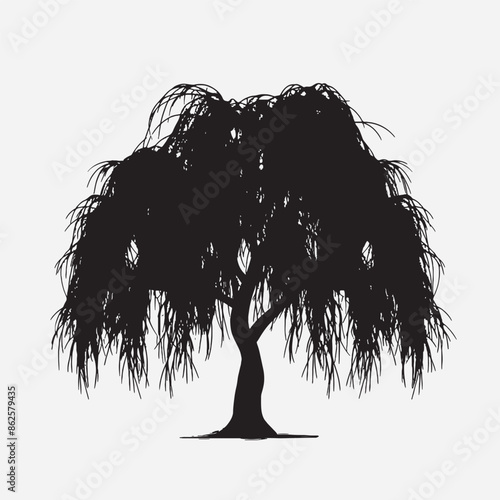 black silhouette of willow tree isolated white background