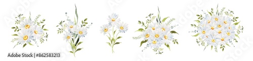Watercolor Daisy floral illustration, Chamomile spring flowers clipart, Wildflower arrangement and summer wreath, Wedding invitations