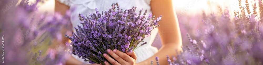 close-up of a woman holding lavender flowers in her hands. Selective focus close-up of a woman holding lavender flowers in her hands. Selective focus