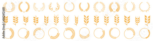 Wheat ear wreath, ear and circle frame collection. Set of golden wheat ear wreath, ear and circle frame element. Grain element icons
