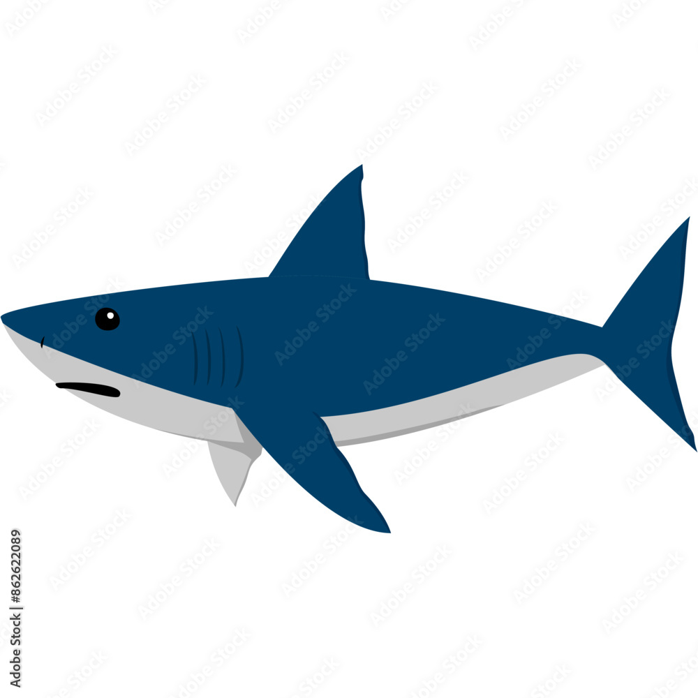 Fototapeta premium great white shark, ocean animals, isolated on white background, animal vector illustration