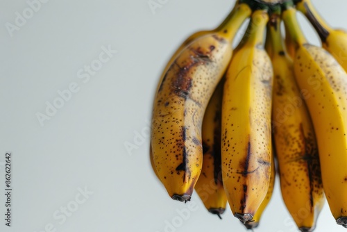 Pisang Kepok Bananas, copy space on right side, isolated on white background photo