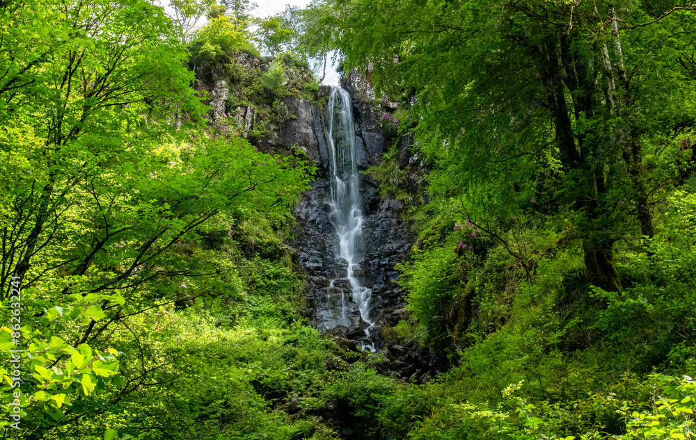 Beautiful waterfall in the forest on the Isle of Mull Beautiful waterfall in the forest on the Isle of Mull