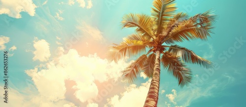 Tropical palm tree with sunlight against a blue sky and clouds creates a serene background for vacation and travel concepts with a vintage color style in the image's copy space.