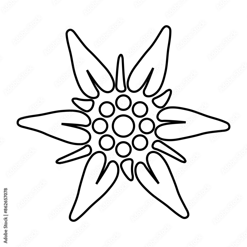 The Edelweiss icon. The black outline of an Alpine alpine flower. Vector illustration isolated on a white background for design and web. The Edelweiss icon. The black outline of an Alpine alpine flower. Vector illustration isolated on a white background for design and web.