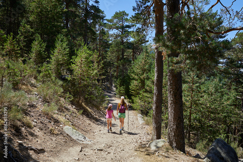 Woman and girl from behind walking along a trail on the Camino Schmidt route among trees in a forest in the Guadarrama mountains, in summer, in Madrid, Spain