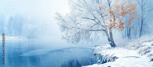 Winter view of a birch tree on a riverbank covered with snow and frost, creating a serene scene with copy space image. © HN Works