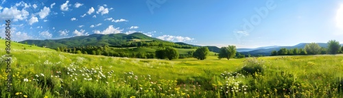 Lush Meadow with Wildflower...