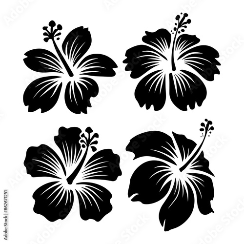 Vector set of black silhouettes of tropical hibiscus flowers isolated on a white background