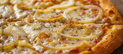 Delectable pizza topped generously with kasseri cheese and onion slices, showcased in a copy space image. photo