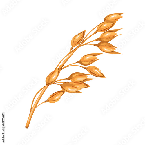Golden oat branch, cartoon plant with seeds on stem. Ripe organic grains for oatmeal, granola and breakfast flakes making, natural agricultural crop mascot, cartoon oat sprig vector illustration