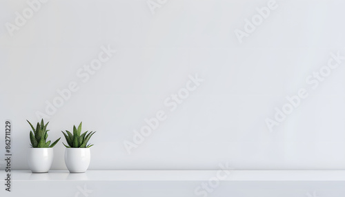 minimalist background, blank White wall with plants on empty room © Feri Anggriawan