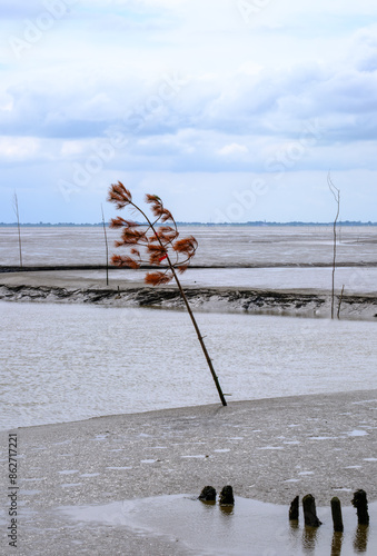 Prickenweg,Fahrwasser bei Ebbe an der Weser bei Wremen photo