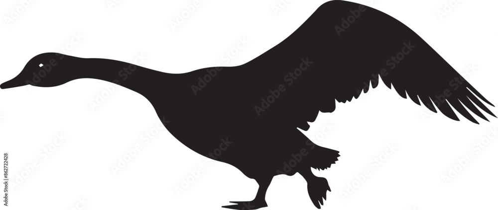 Obraz premium silhouette of a duck