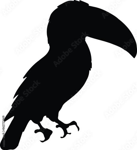 raven on a white background