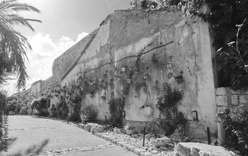 Wallpaper Mural Aged Stone Wall With Hanging Plant Pots Monochrome Perspective Torontodigital.ca