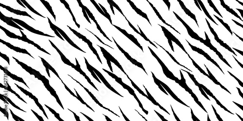 Line Tropical Background. African Animal Zebra. Stripe Grunge. Black Cute Tiger. Tribal Camo Texture. White Jungle Tiger. Vector Texture. Abstract Vector Pattern. Black Tropical Brush. Stripe Pattern