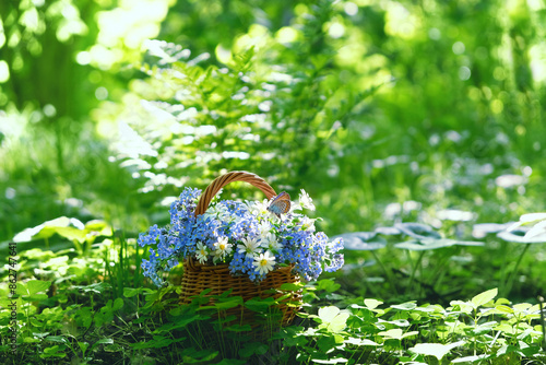 Blue-white flowers in wicker basket in forest, natural background. beautiful floral composition with Stellaria and forget-me-not flowers. spring summer blossom season. template for design photo