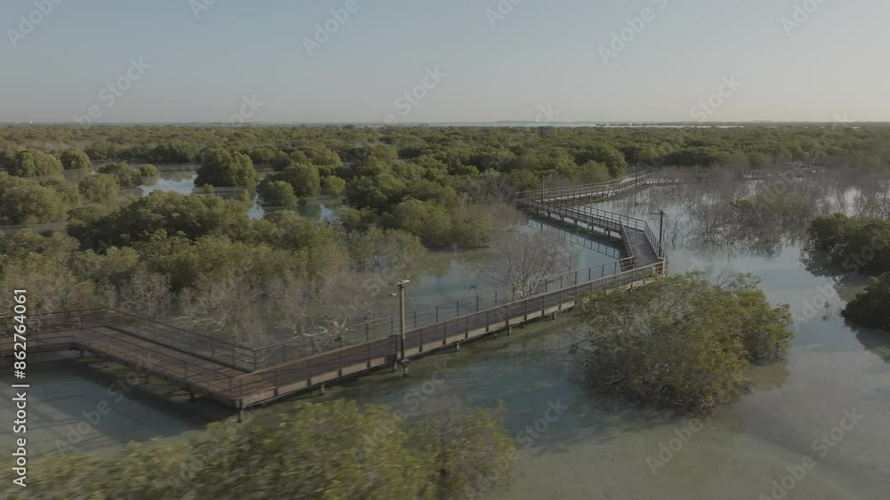Aerial view of tranquil mangrove forest and river at Jubail Mangrove Park, Abu Dhabi, United Arab Emirates. Aerial view of tranquil mangrove forest and river at Jubail Mangrove Park, Abu Dhabi, United Arab Emirates.