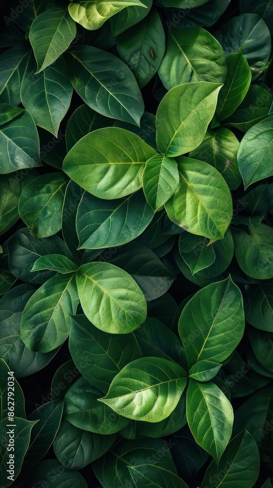 Intimate Portrait of Green Leafy Plants, A Celebration of Natural Vibrance and Texture Intimate Portrait of Green Leafy Plants, A Celebration of Natural Vibrance and Texture