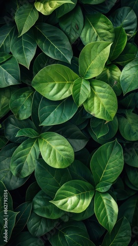 Intimate Portrait of Green Leafy Plants, A Celebration of Natural Vibrance and Texture © GradPlanet