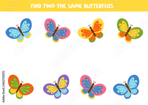 Find two the same colorful butterflies . Educational game for preschool children.