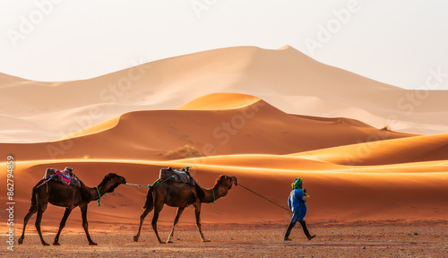 Obraz na płótnie Landscape with camels caravan and a guide trekking through the golden sand dunes of Merzouga, Morocco, offering a glimpse into Sahara desert adventures. w salonie