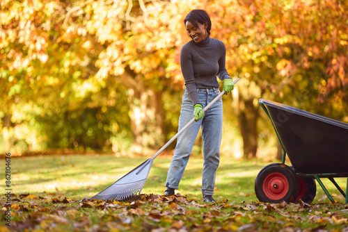 Young Woman With Barrow Raking Leaves In Autumn Garden