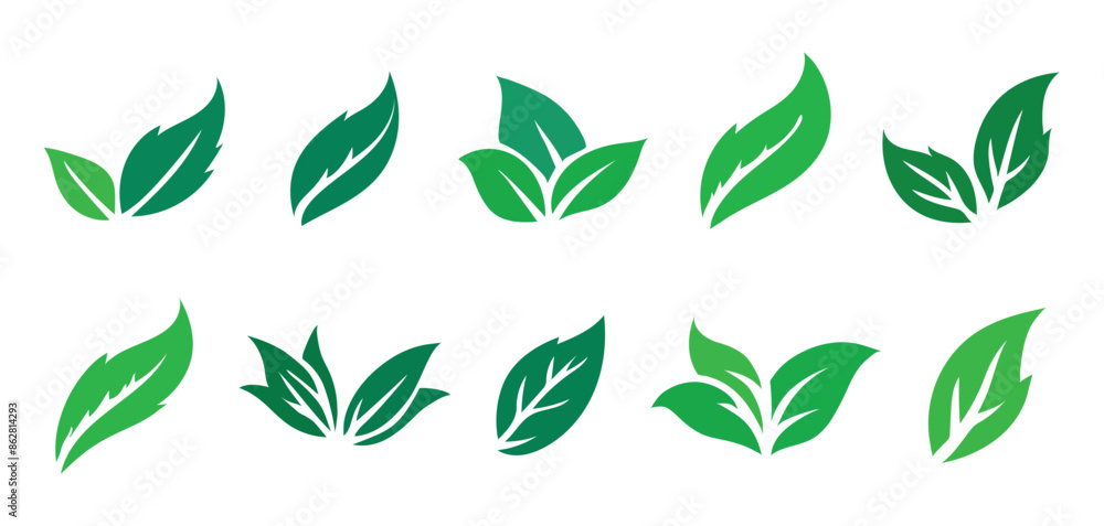 leaves vector set leaves vector set