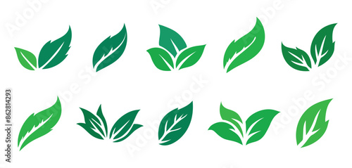 leaves vector set