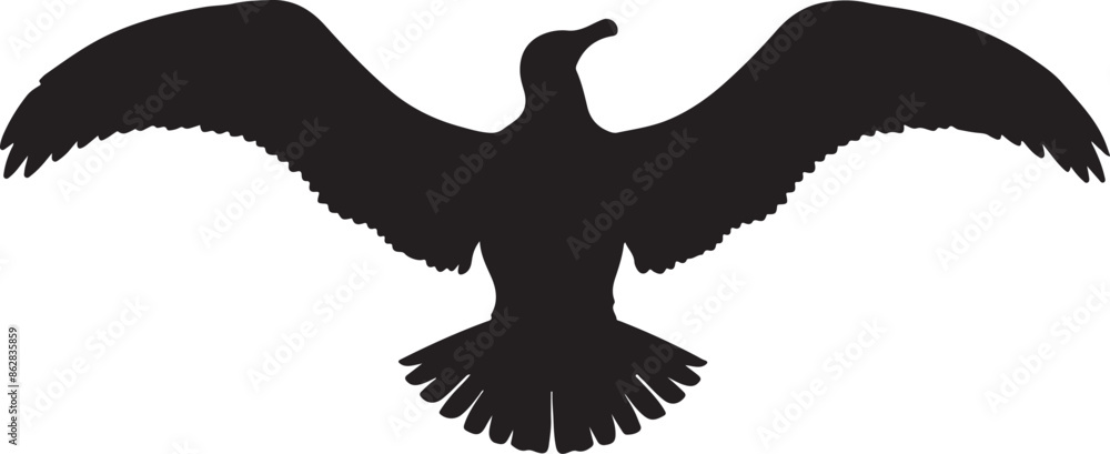 Obraz premium eagle in the sky