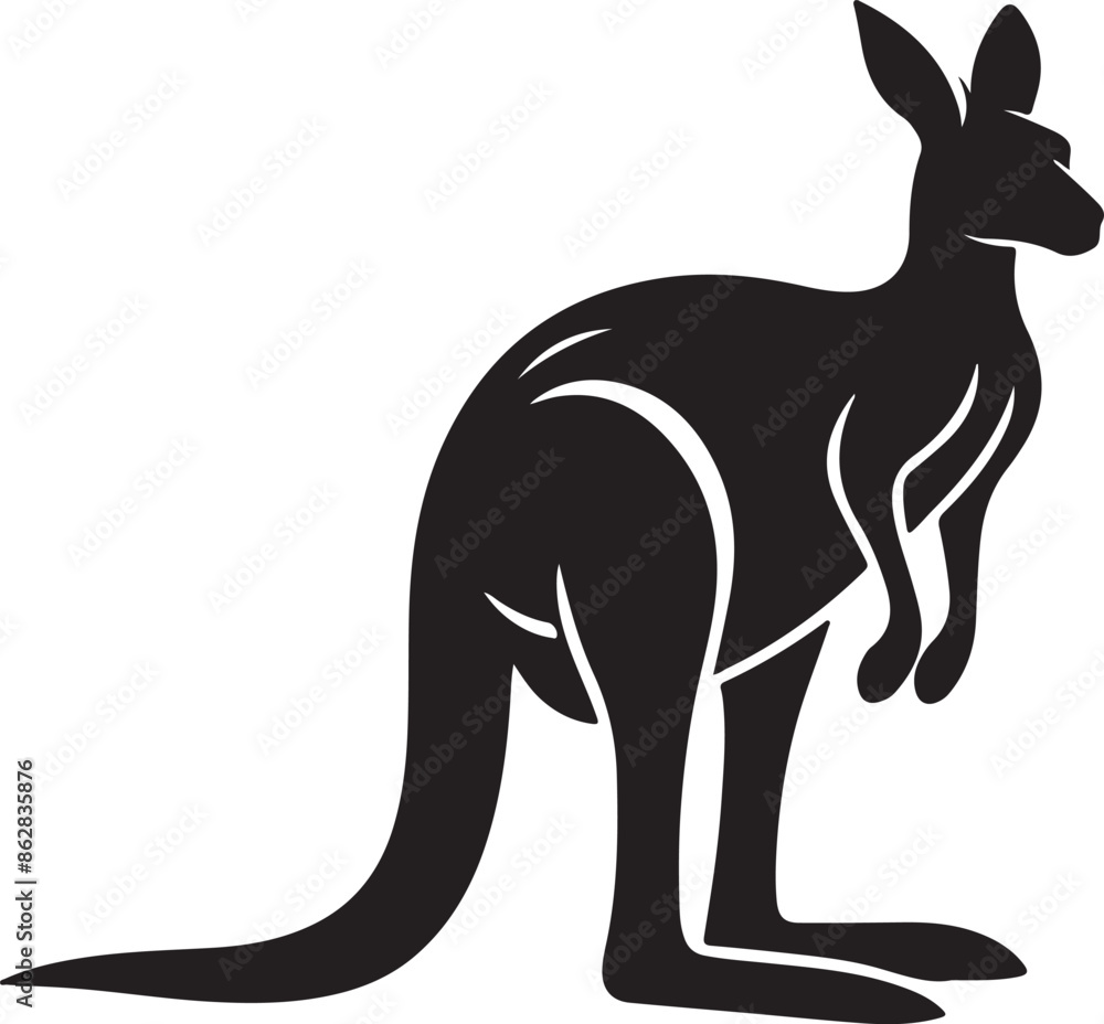 kangaroo illustration kangaroo illustration