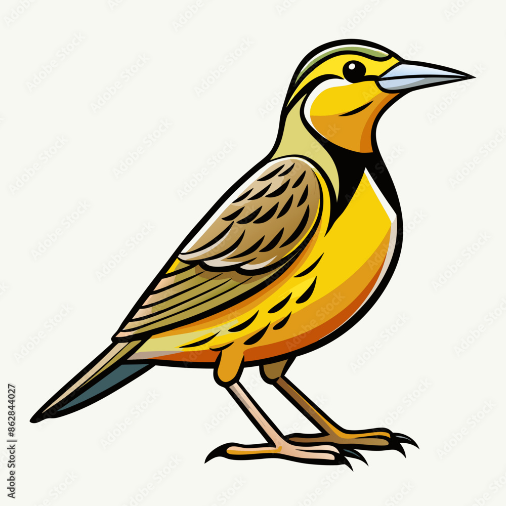 vector illustration of a bird vector illustration of a bird