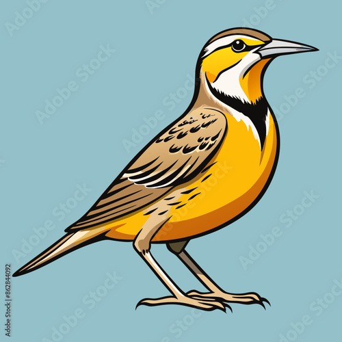 vector illustration of a bird