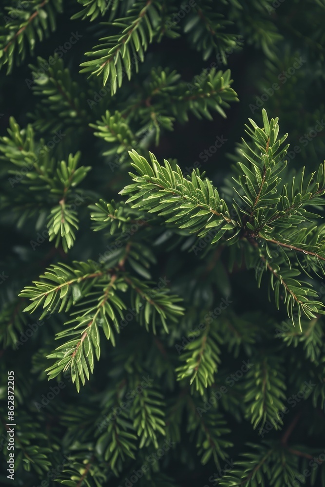 Evergreen marketing content, timeless strategies, content that remains pertinent. Evergreen marketing content, timeless strategies, content that remains pertinent.