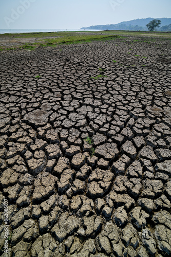 Cracked lake bed of Lake Chilika during summer season, Odisha, India