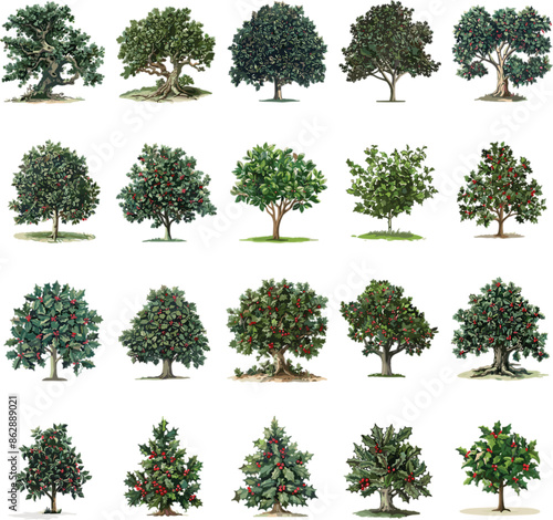 TREE SET IN COLOR STYLE, HOLLY TREE SET IN COLOR STYLE