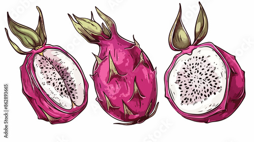 Pitaya exotic tropical fruit. Vector illustration 