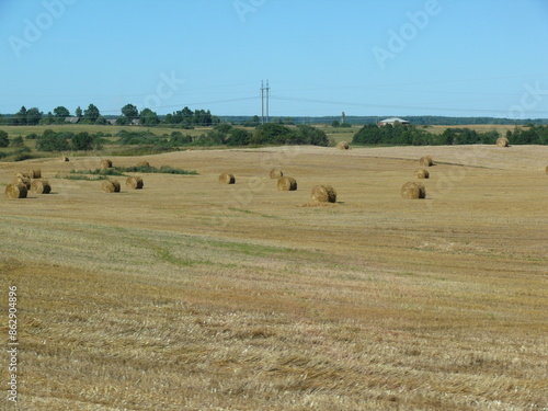 Strohballen auf dem Feld