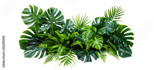 A bush of tropical leaves such as monstera, palm and fern plants in a nature foliage floral arrangement isolated on a white background with a clipping path, 8k