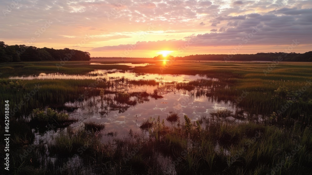 Serene Morning Light: Sunrise Over the Marshland Reflecting in Tranquil Waters Serene Morning Light: Sunrise Over the Marshland Reflecting in Tranquil Waters