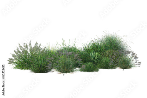 3D render shrub flowers and grass flowers. Green Garden bushes cut out photo