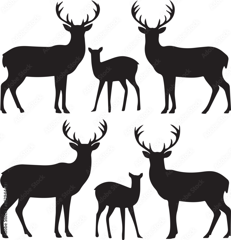 Fototapeta premium Adobe Illustrator Artwork