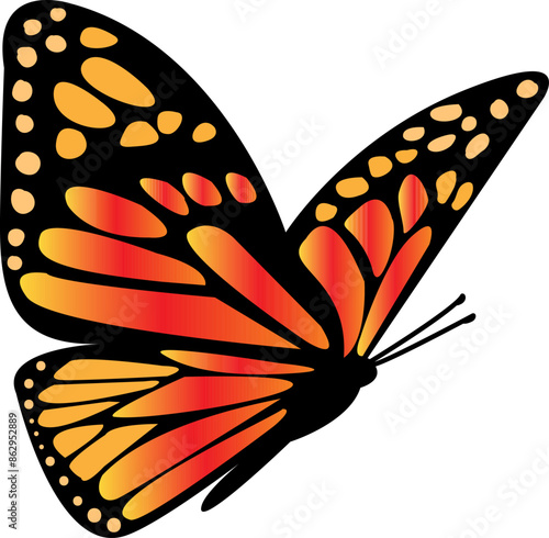 Butterfly with Orange and Black Wings Flies on a White Background. Ethereal Butterfly Winged Silhouette Illustration. Mythical Garden Decor. Colorful Monarch Metamorphosis Closeup. Tropical Element.