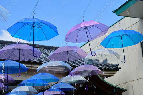 Wallpaper Mural 五泉八幡宮　アンブレラスカイ（新潟県） Torontodigital.ca