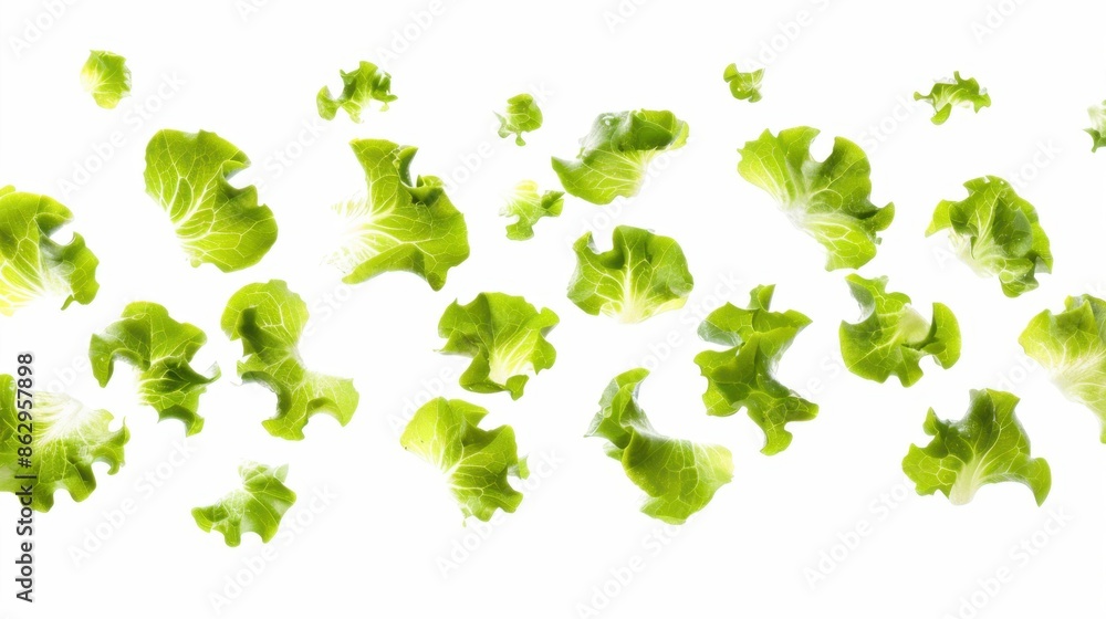 Green Lettuce Leaves Falling On White Background Green Lettuce Leaves Falling On White Background