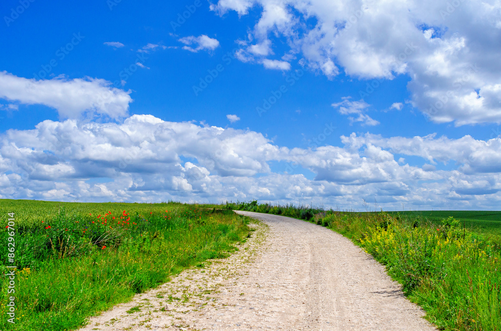 Blue sky with cumulus clouds over country road in field flowers. Rural landscape with perspective. Blue sky with cumulus clouds over country road in field flowers. Rural landscape with perspective.