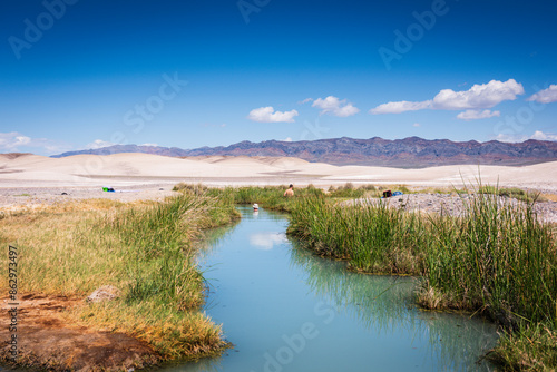 Tecopa Mud hot springs is an oasis in the desert. This hot springs is free and clothing optional. There is a large hot spring pool that averages between 103-100 degrees.