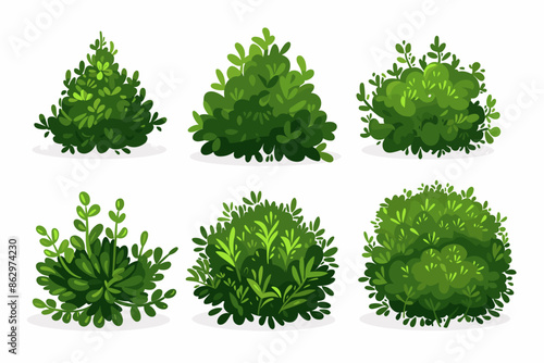 Set of vector bush illustrations on a white background. Green flat bushes on white background. Green grass vector set. Shrub bush shrubbery tree simple abstract. Eco element, foliage, stylized ecology